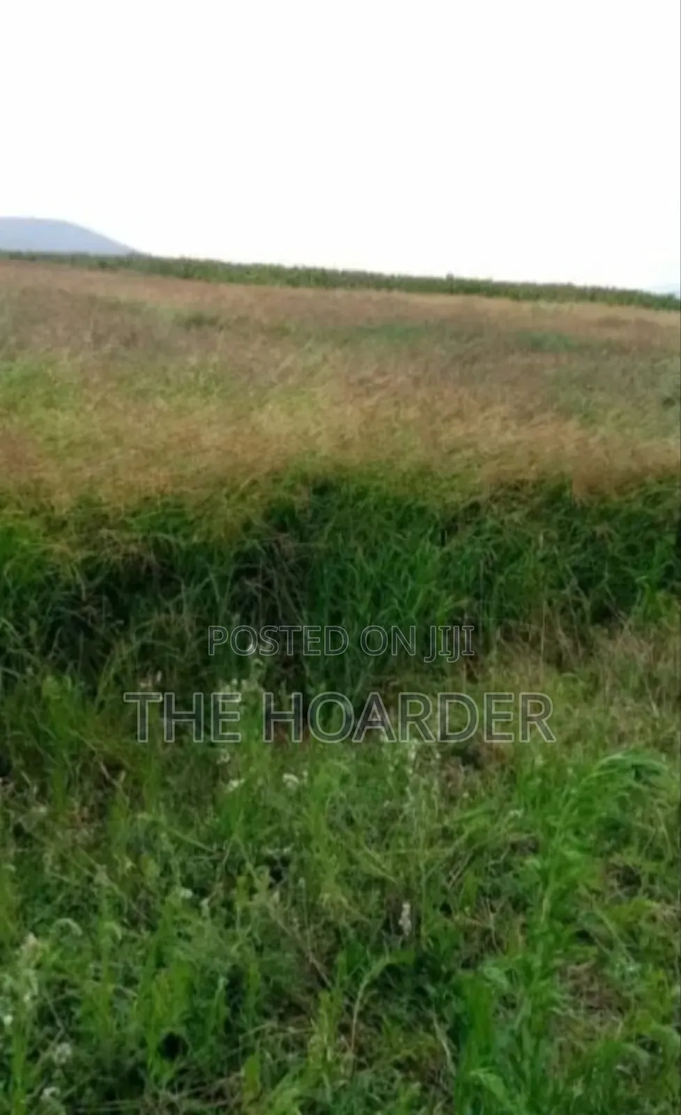 An Acre of Land 6km From Narumoro Town (Narumoro - Mweiga Road)