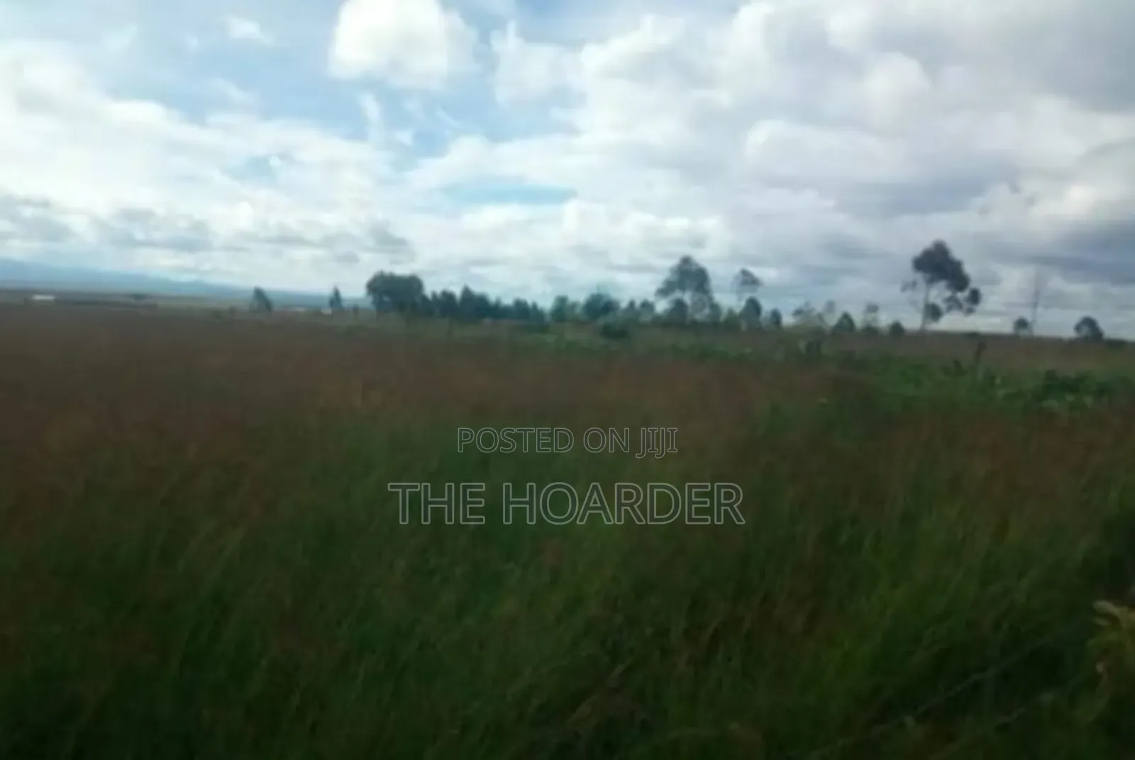 An Acre of Land 6km From Narumoro Town (Narumoro - Mweiga Road)