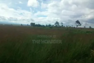 An Acre of Land 6km From Narumoro Town (Narumoro - Mweiga Road)