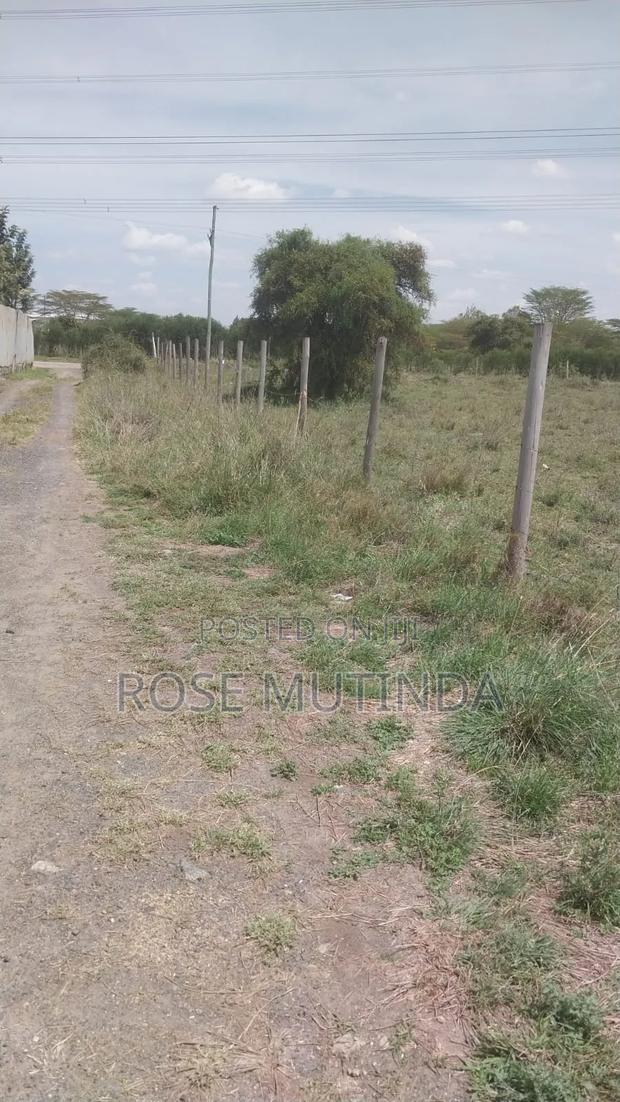 40acres at Isinya - main view