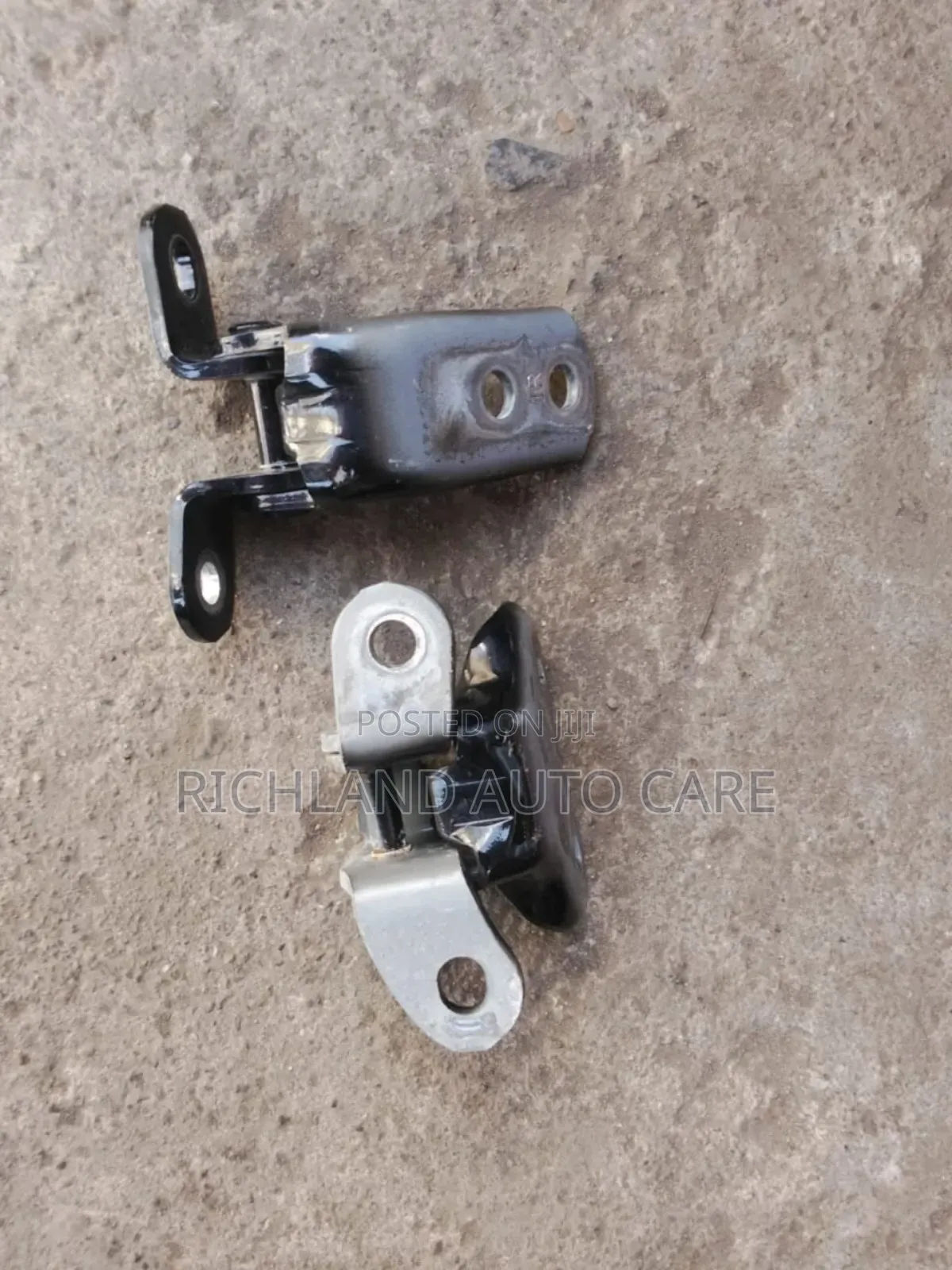 Front Door Hinges for Axio 161