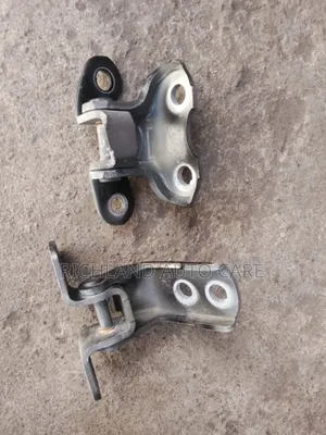 Front Door Hinges for Axio 161