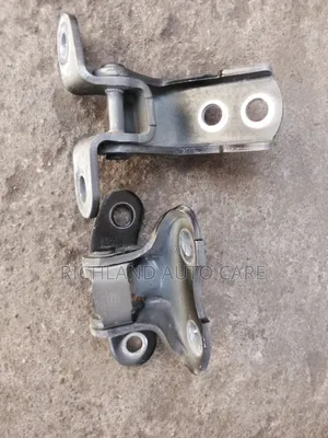 Front Door Hinges for Axio 161