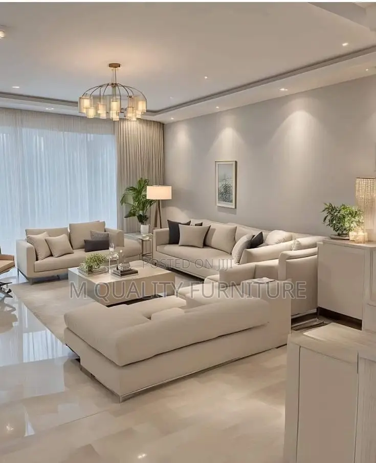 Elegant Modernized Sofa Sets