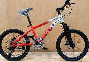 Bike Size 20 Mountain Bike