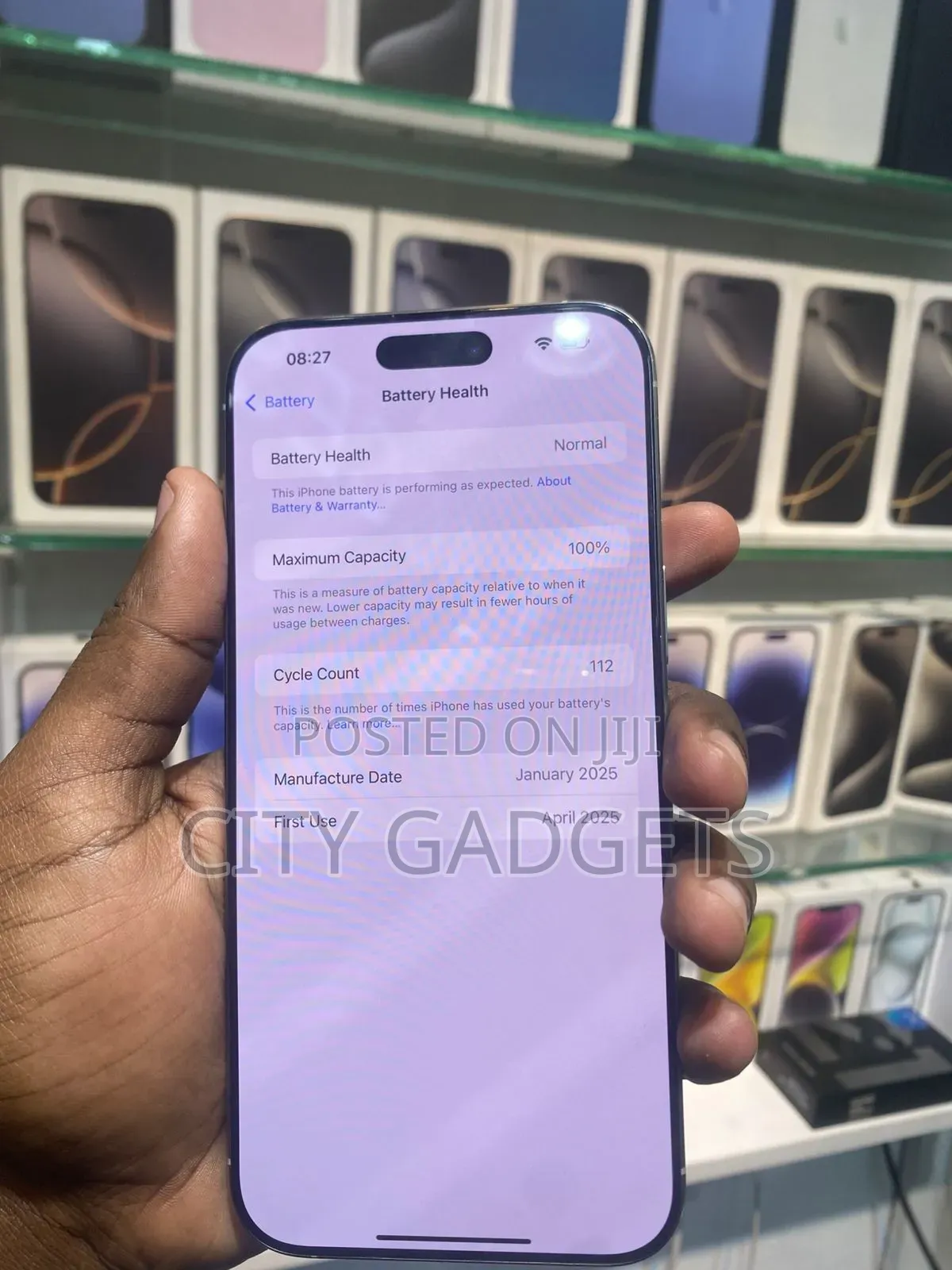 Apple iPhone 16 Pro Max 512 GB Gray