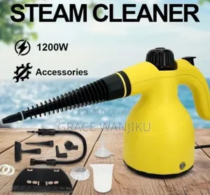 220v Handheld Steam Cleaner Sterilization Pressure Jet