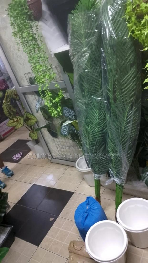 1.6m Long Beautiful Palm Trees