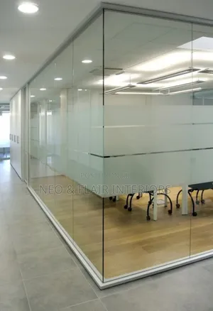 Frameless Glass Partations Frosted