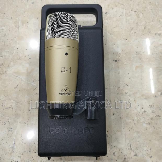 Condenser C1 Quality Studio Microphone - thumbnail 3