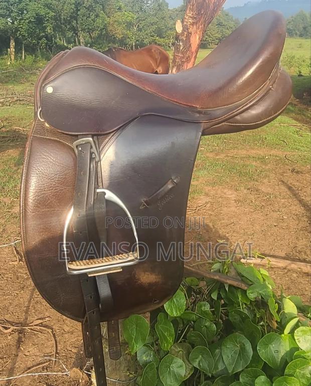 Horse Saddle - main view
