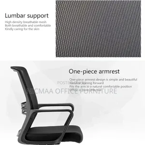 Office Chair: Ergomesh Executive Office Chair