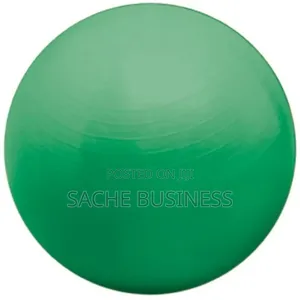Anti Burst Swiss Ball