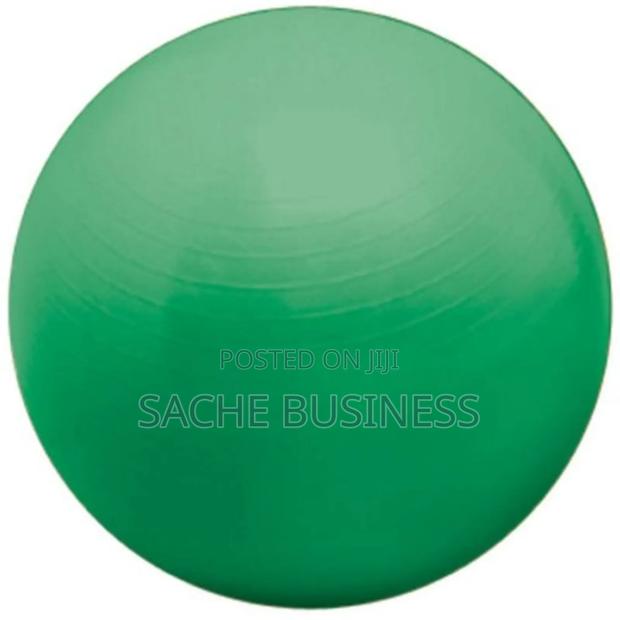 Anti Burst Swiss Ball