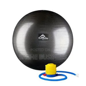 65 Cm Anti Burst Swiss Ball