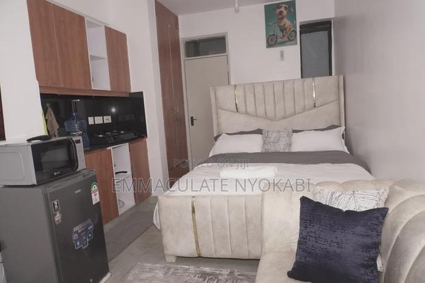 Studio Apartment(Roysambu) - thumbnail 7