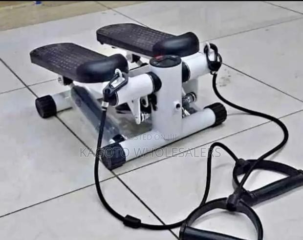 Home /Gym - Mini Stepper Machine