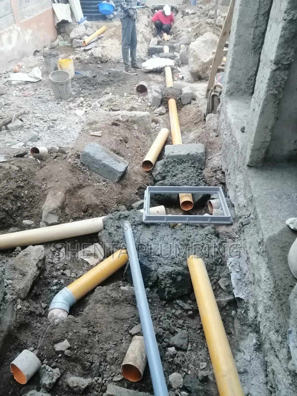 Professional Plumber : Drainage System