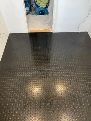 Antislip Coin Mats for Watered Floors 3mm