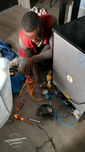 Fridge Repair