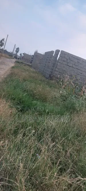 Great Deal !! Price Drop Alert!! Plot Just 200m From Main Kangundo Rd.