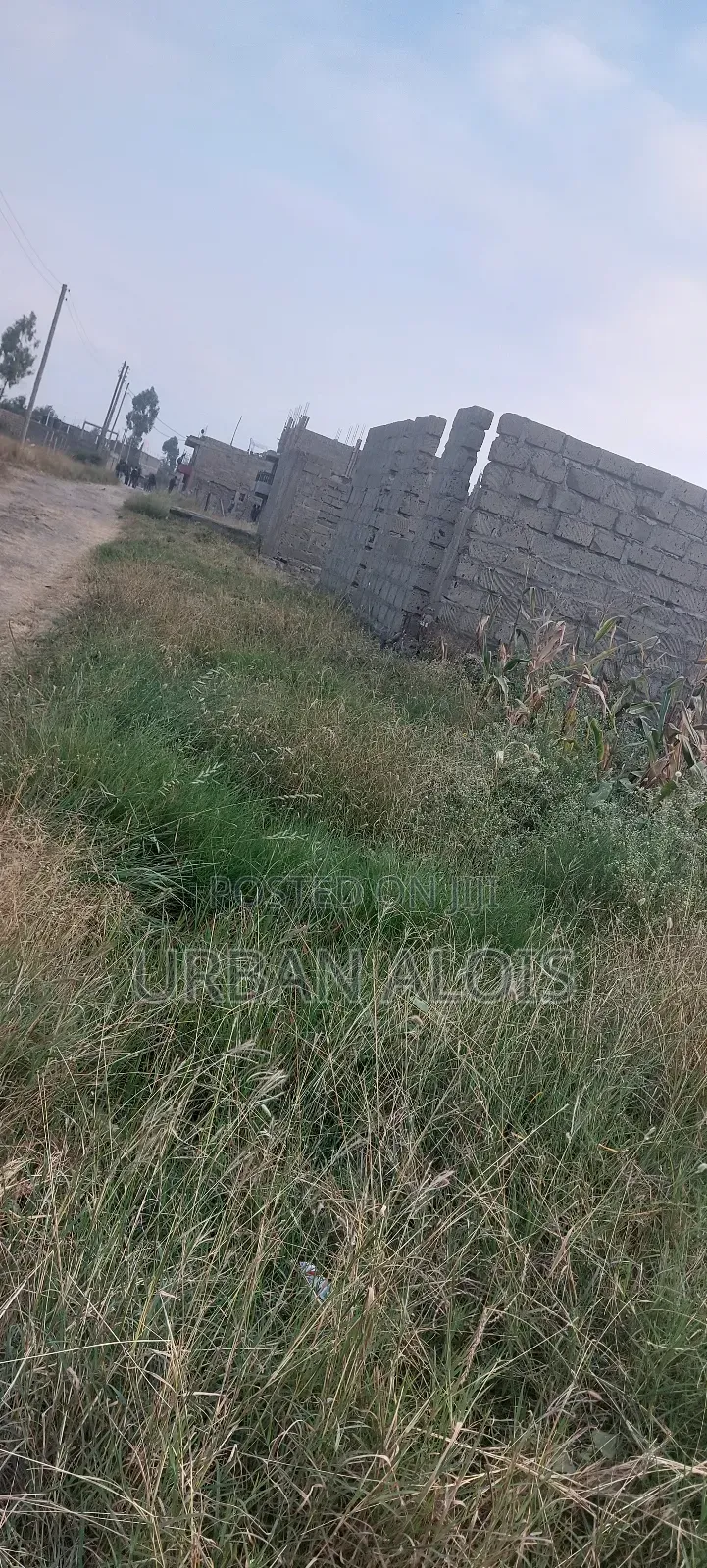 Great Deal !! Price Drop Alert!! Plot Just 200m From Main Kangundo Rd.