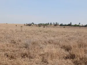 1.5 Acres Off Kiserian-Isinya Road Behind Sathya Sai School