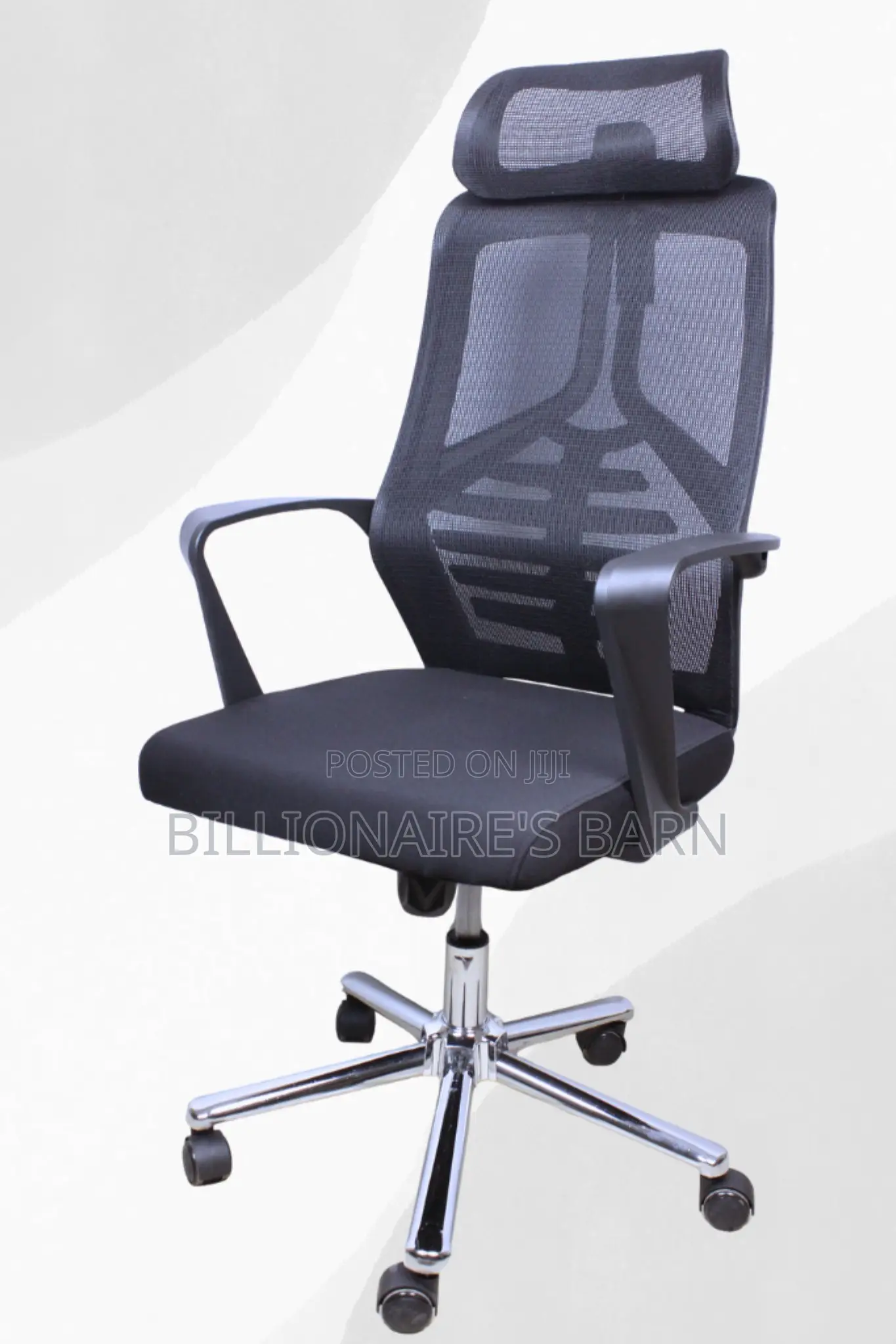 Office Chairs; Lama Orthopedic Mesh Chair