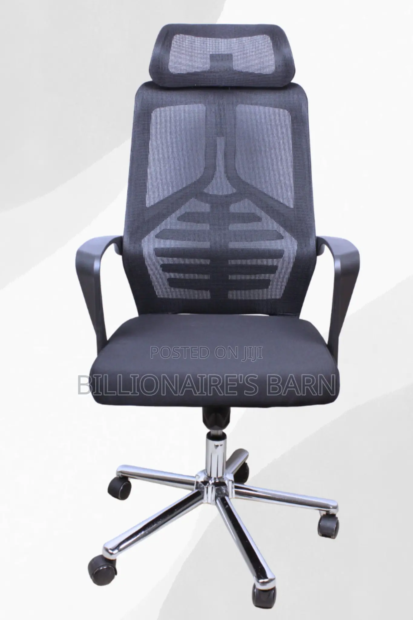 Office Chairs; Lama Orthopedic Mesh Chair