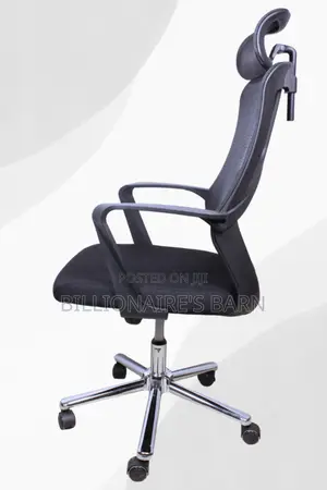 Office Chairs; Lama Orthopedic Mesh Chair