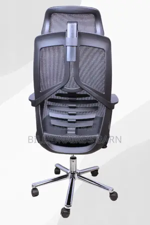 Office Chairs; Lama Orthopedic Mesh Chair