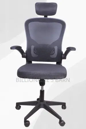 Office Chair:Black High-Back Executive Mesh Office Chair