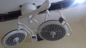Double-Arm Theatre Light