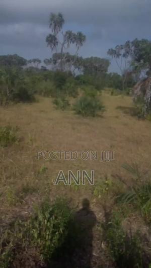 5 Acre of Land - thumbnail 2