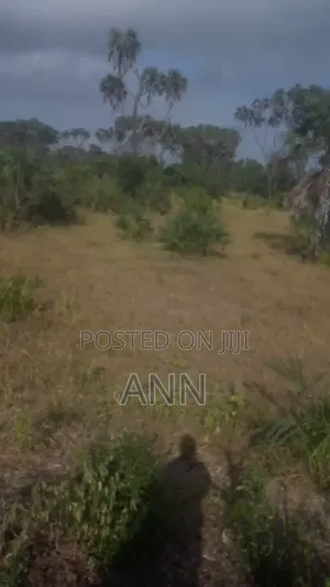 5 Acre of Land
