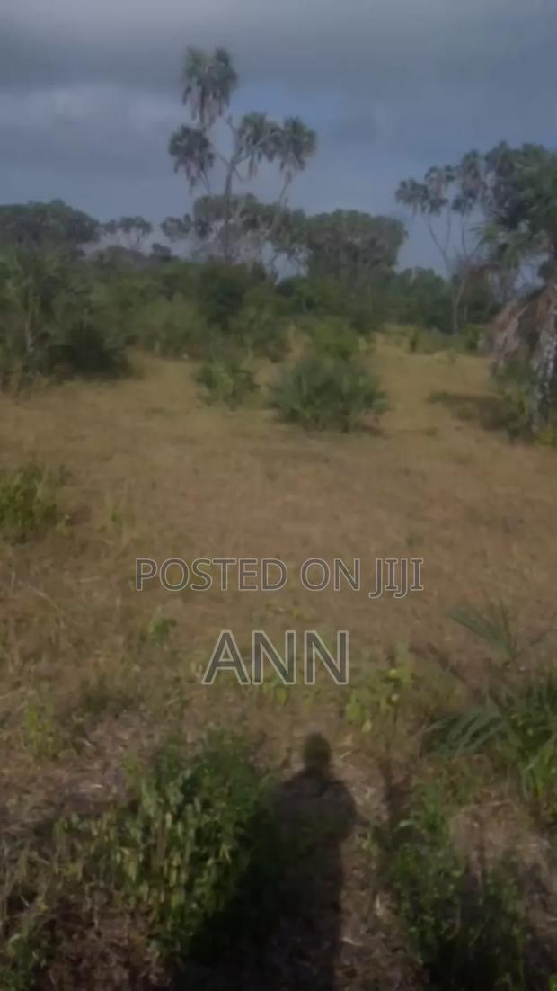 5 Acre of Land - main view