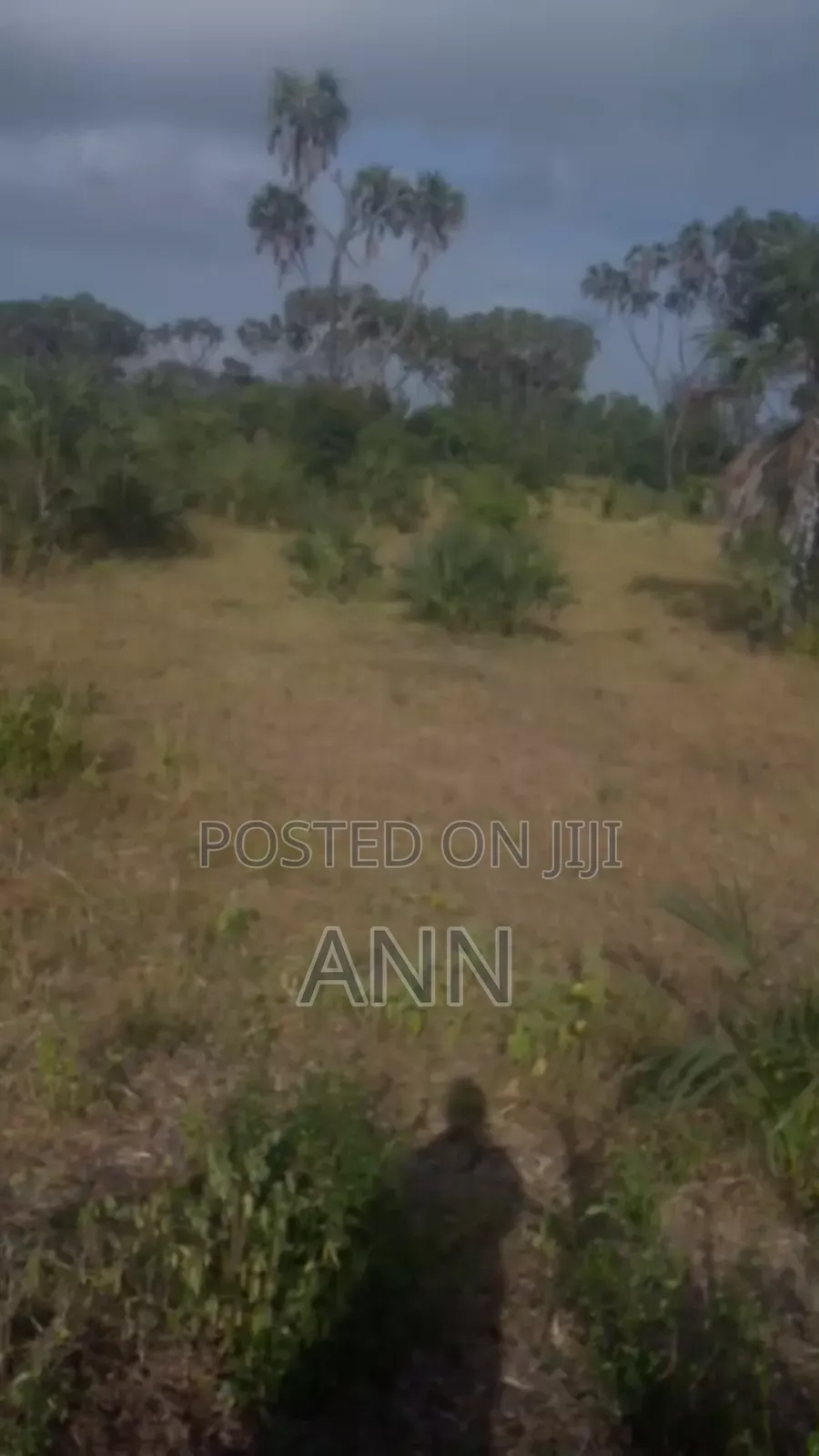 5 Acre of Land