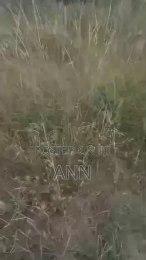 5 Acre of Land
