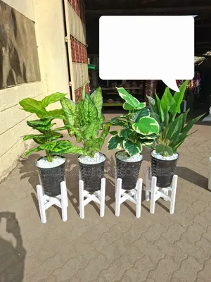 Ideal Artificial Flowers for Living Rooms, Offices Etc