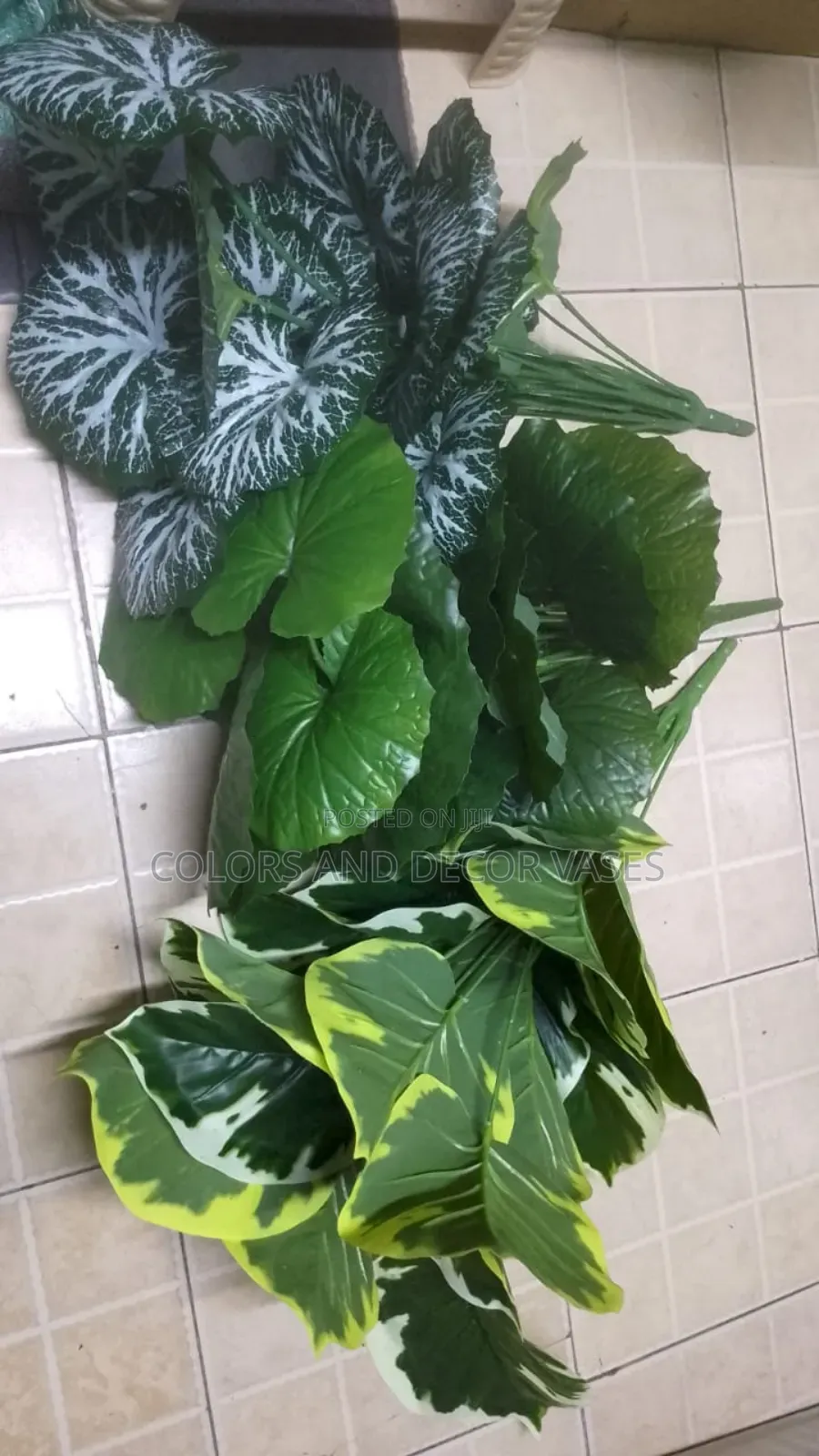 Plants Almost Real Lush Green Colour
