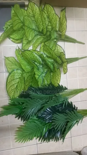 Simple Luxury Home Plants