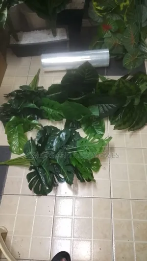 Monstera and Plain Green Artificial Plants