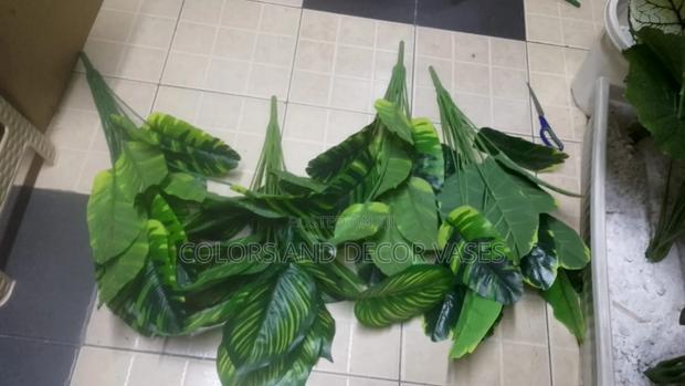 Home Decor Stripped Plants