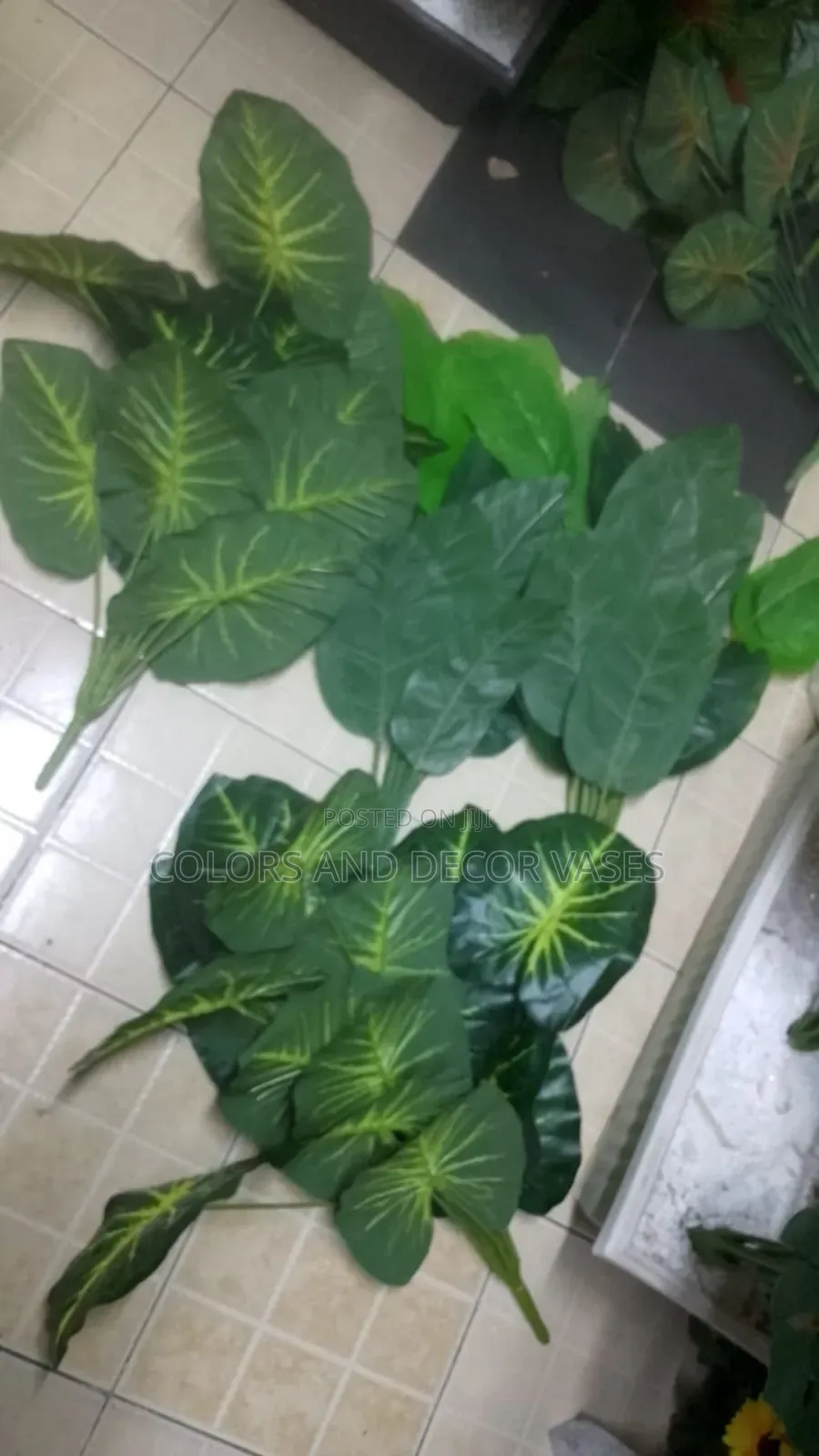 Home Decor Stripped Plants