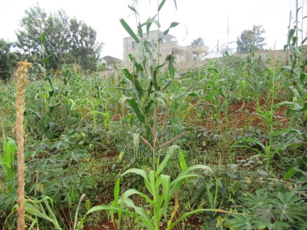 0.5-Acre Plot for Sale in Mushroom Gardens - main view