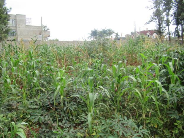 0.5-Acre Plot for Sale in Mushroom Gardens - thumbnail 4