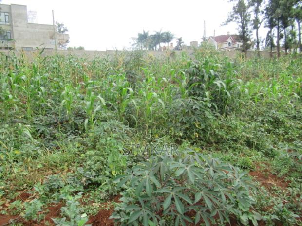 0.5-Acre Plot for Sale in Mushroom Gardens - thumbnail 5