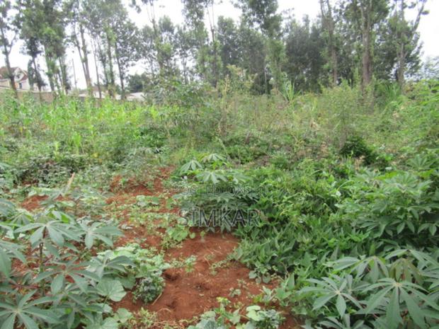 0.5-Acre Plot for Sale in Mushroom Gardens - thumbnail 6