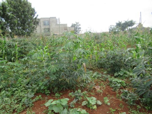 0.5-Acre Plot for Sale in Mushroom Gardens - thumbnail 7