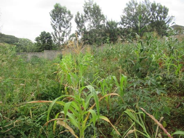 0.5-Acre Plot for Sale in Mushroom Gardens - thumbnail 8